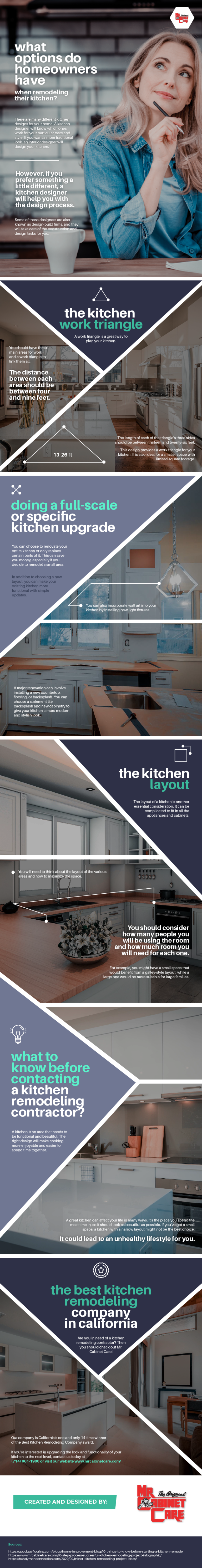 What_Options_Do_Homeowners_Have_When_Remodeling_Their_Kitchen_infographic_image_11
